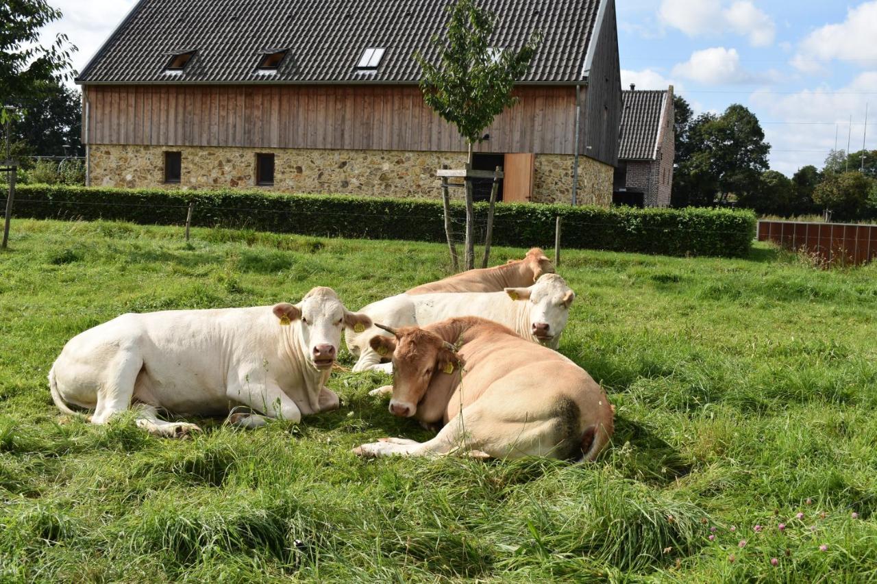 De Oude Limonadefabriek Beek (Limburg) Exterior foto